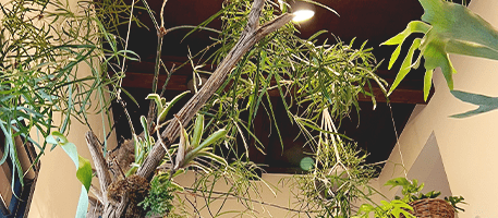 komorebi no mori株式会社