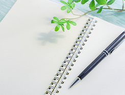 手書きのスケッチ